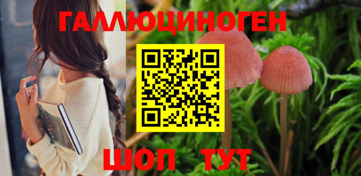 Псилоцибиновые грибы мицелий Узловая